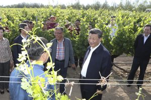 La Cina del vino guarda al mondo, ma come produttore. E non &egrave; affatto una brutta notizia