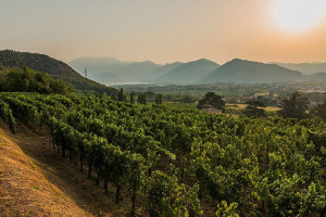 I Quaderni di WineNews - La Franciacorta