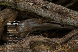 I Vini di WineNews - N. 110