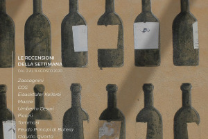 I Vini di WineNews N. 113