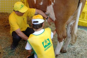 Nasce il “welfare verde”: contro il disagio sociale scendono in campo le fattorie di Coldiretti Nasce il “welfare verde”: contro il disagio sociale scendono in campo le fattorie di Coldiretti
