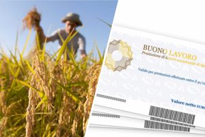 Coldiretti: &ldquo;serve subito il voucher per salvare i raccolti e garantire opportunit&agrave; di lavoro&rdquo;