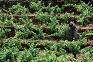 Grande l’Etna, ma non dimentichiamoci del resto dell’Isola