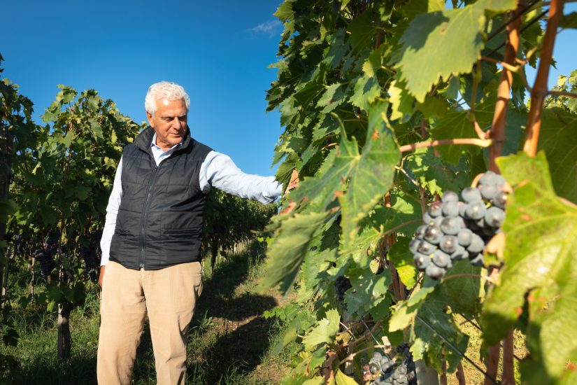 Podere La Vigna Brunello di Montalcino - Wine on High