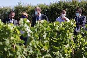 Francia, dal Governo altri 76 milioni di euro per il settore del vino contro il Covid Francia, dal Governo altri 76 milioni di euro per il settore del vino contro il Covid