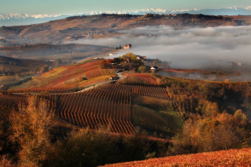 Le Langhe nella foto di Murialdo, tra i paesaggi più belli del vino italiano