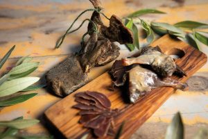 Le Follie di Carlo Giusti, Prosciutto di Piccione