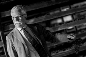 Ci sono storie che solo il vino sa raccontare. Come, da Dante a oggi, quella dei Serego Alighieri