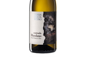 Terra Costantino, Doc Etna Bianco Contrada Blandano 2016