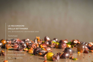 I Vini di WineNews - N. 117