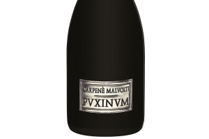 Carpenè Malvolti, Docg Conegliano Valdobbiadene Prosecco Superiore Extra Dry PVXINVM 2017