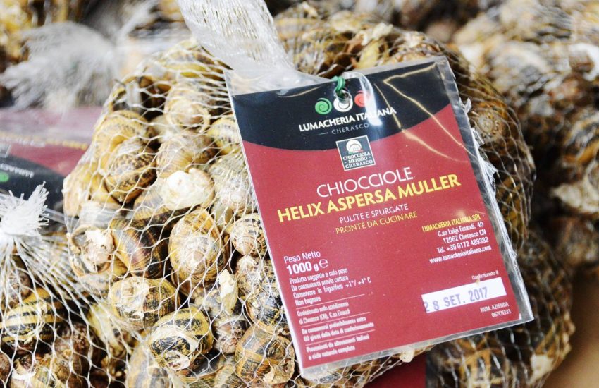 Allevamento delle chiocciole, modello di economia “elicoidale“