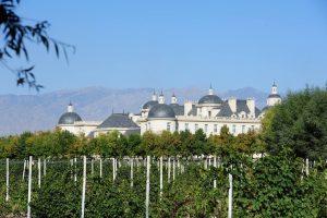 Mercati senza confini, i fine wine di Cina arrivano sul mercato d’Italia Mercati senza confini, i fine wine di Cina arrivano sul mercato d’Italia