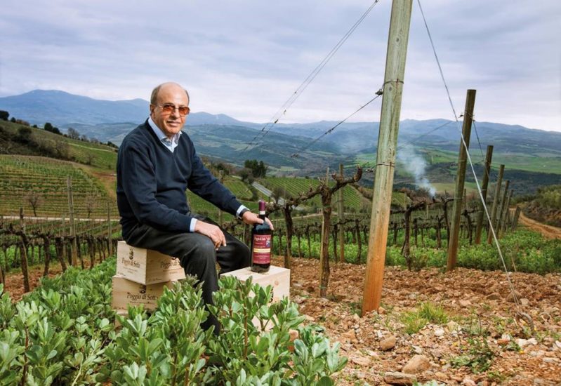 “Mr Collemassari”, Claudio Tipa, tra i vigneti di Poggio di Sotto, a Montalcino