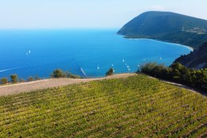 Da Raffaello al Leopardi, dal Verdicchio al Rosso Conero, viaggio nelle Marche del vino Da Raffaello al Leopardi, dal Verdicchio al Rosso Conero, viaggio nelle Marche del vino