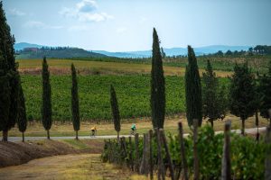 Pedalando con WineNews nel territorio di un Brunello mai visto (così): “Eroica Montalcino”