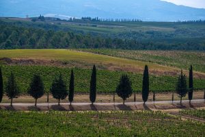 Il Giro d’Italia torna a Montalcino, con la “Brunello di Montalcino Wine Stage”