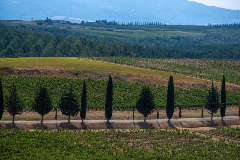 Il Giro d’Italia torna a Montalcino, con la “Brunello di Montalcino Wine Stage”, sulle strade bianche