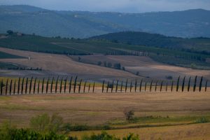 The Giro d&rsquo;Italia comes back among vineyards and white roads of Brunello di Montalcino