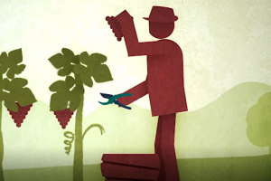 Fivi: un corto animato firmato da Corrado Virgili per raccontare il vino dei Vignaioli Indipendenti Fivi: un corto animato firmato da Corrado Virgili per raccontare il vino dei Vignaioli Indipendenti