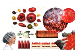Il cibo è anche questione di design: arriva il Master che forma professionisti dal campo alla tavola Il cibo è anche questione di design: arriva il Master che forma professionisti dal campo alla tavola