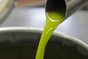 La produzione mondiale di olio di oliva nel 2020 a 3,3 milioni di tonnellate: +3% sul 2019