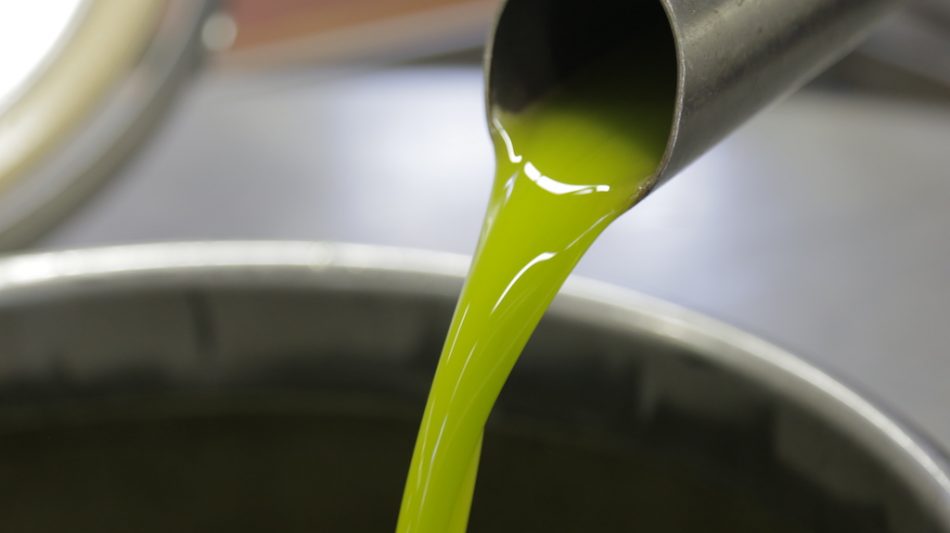 La spremitura dell’olio nuovo al frantoio Cutrera