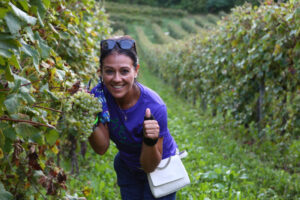 Per gli aspiranti vignaioli al via le prenotazioni della “Vendemmia Solidale” (n. 14) by Le Manzane Per gli aspiranti vignaioli al via le prenotazioni della “Vendemmia Solidale” (n. 14) by Le Manzane