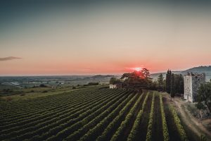 Guardando al passato per costruire un futuro migliore