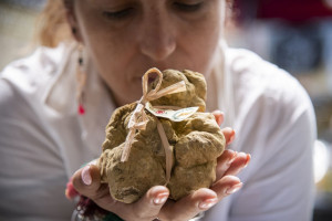 Tartufo, anche “a distanza” il profumo si sente: Alba lancia un nuovo metodo per annusare e valutare