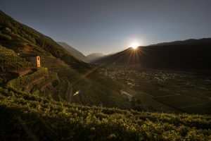 La Valtellina e la narrazione del paesaggio: appuntamento con Cucinelli, Farinetti e Zurlo
