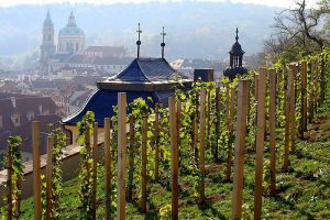 Al via in Repubblica Ceca l&rsquo;edizione n. 27 del Concours Mondial de Bruxelles
