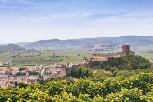 I Quaderni di WineNews – Il Soave