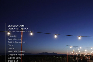 I Vini di WineNews - N. 118