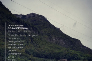 I Vini di WineNews - N. 119