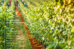 I Vini di WineNews - N. 120