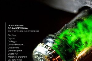 I Vini di WineNews - N. 121