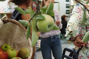 Numeri, appuntamenti, temi: tutto ciò che c’è da sapere sul Salone del biologico e del naturale