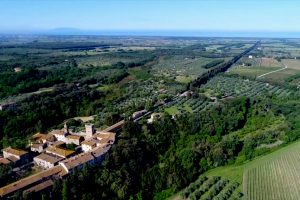 Bolgheri, territorio tra i più importanti d’Italia, corona di gioielli enoici, continua a crescere Bolgheri, territorio tra i più importanti d’Italia, corona di gioielli enoici, continua a crescere