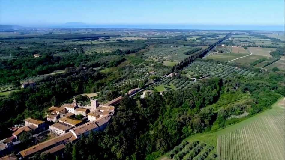 Il territorio di Bolgheri, tra i più importanti del vino italiano