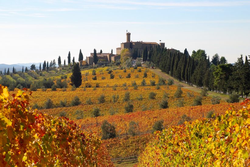 Banfi, il suo trecentesco vigneto e le sue terre, con 850 ettari di vigna, e non solo
