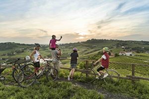 “Turismo del Vino in Italia. Storia, normativa e buone pratiche”, guida e vademecum per le aziende