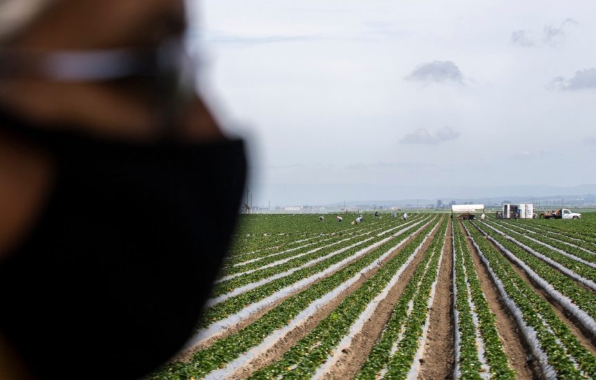 Il comparto agroalimentare non si è fermato mai