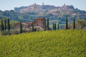 Il 2020 a Montepulciano: anno difficile, ma di investimenti, e con una vendemmia a “5 stelle” Il 2020 a Montepulciano: anno difficile, ma di investimenti, e con una vendemmia a “5 stelle”