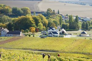 L’incredibile recupero dello Champagne: nei primi 5 mesi  2021, +44,2% di bottiglie vendute sul 2020