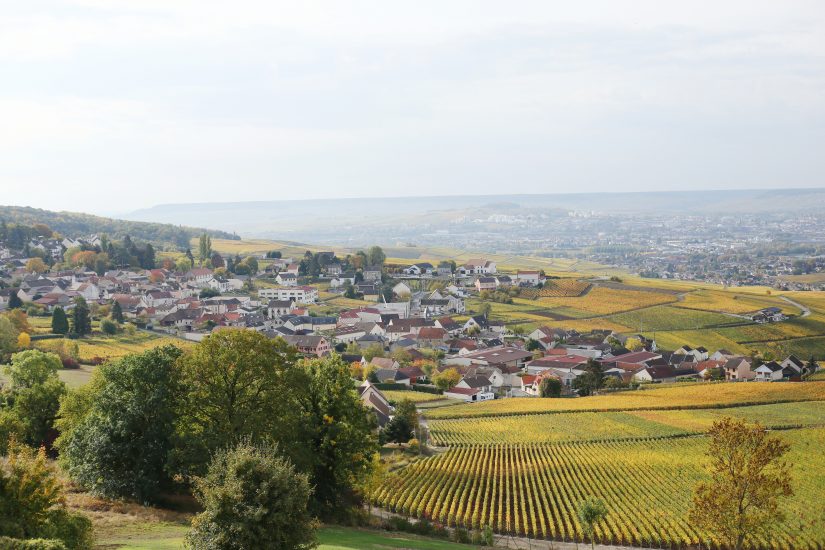 I vigneti dello Champagne