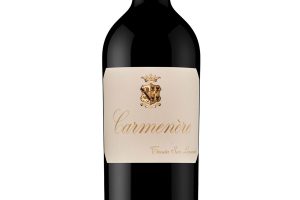 San Leonardo, Vigneti delle Dolomiti Igt Carmenère 2015