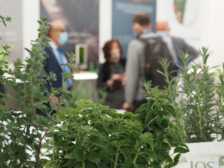 Il mondo del biologico e del naturale al “Sana”