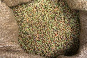 Sapori di Norcia, Lenticchia di Castelluccio di Norcia Igp