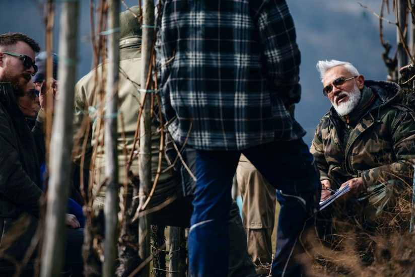 La potatura della vite si impara on line, nel mondo: nasce la Vine Master Pruners Academy digitale